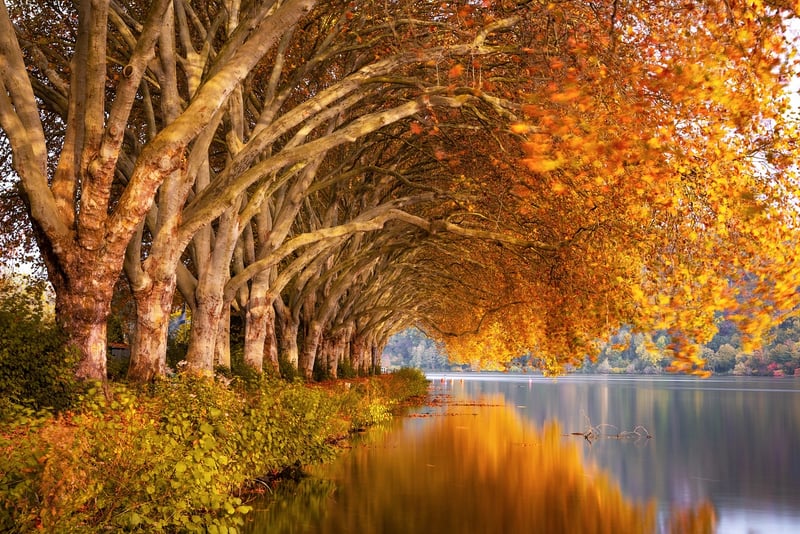 Quiet Reflections